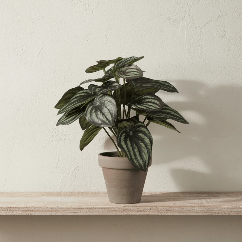 Peperomia konstgjord växt grön grå med kruka
