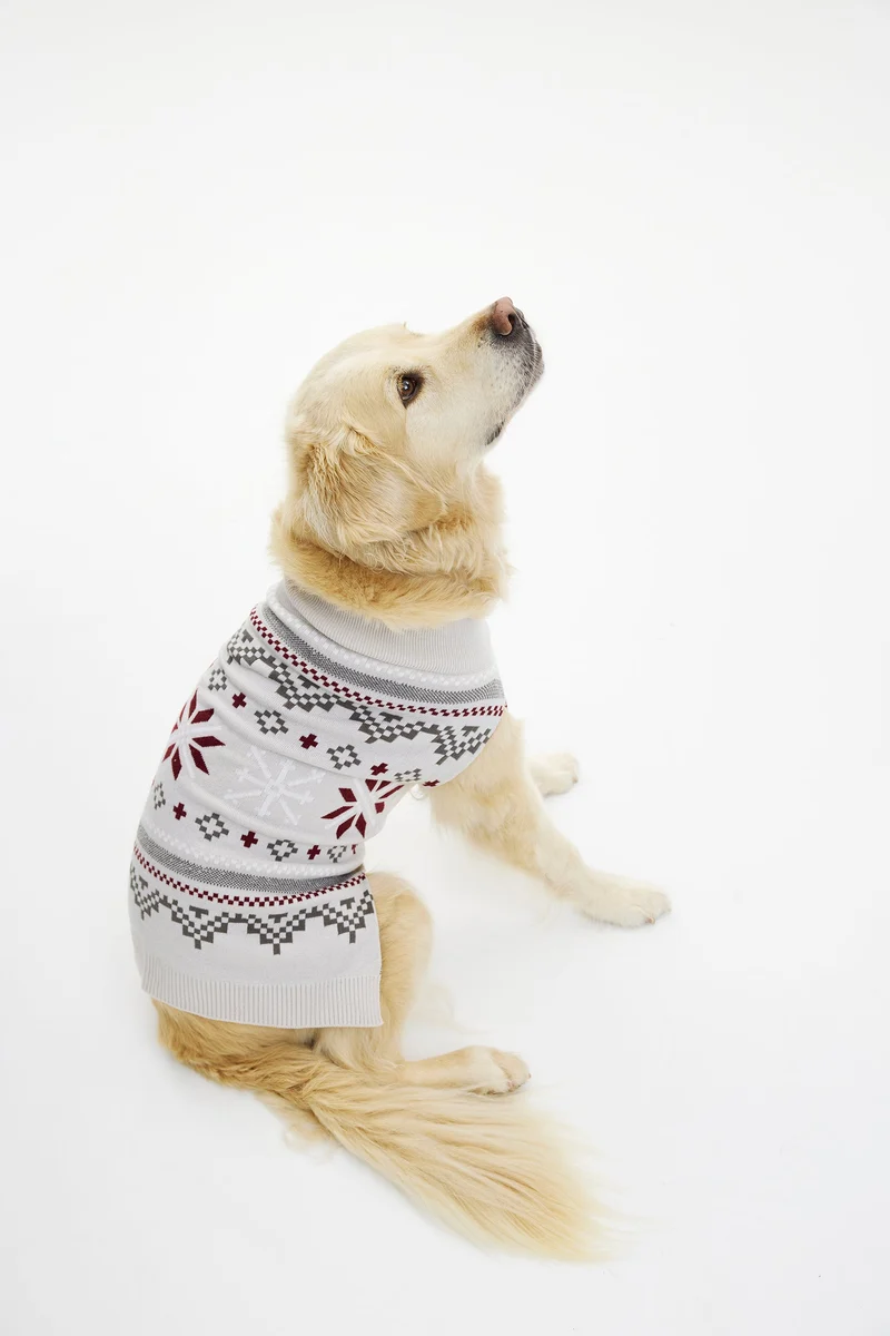 Fancy Hund jultröja