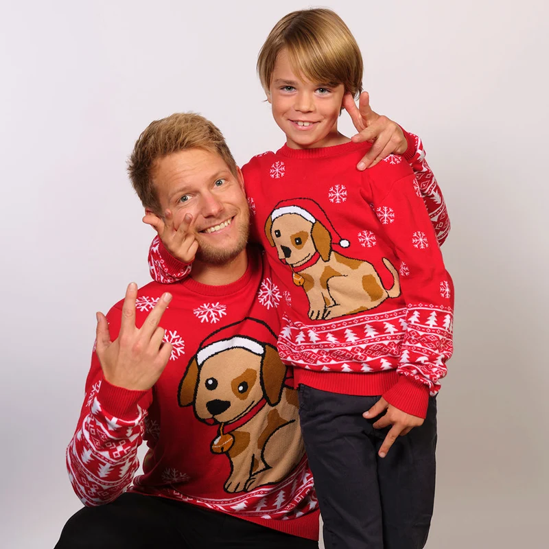 Jultomtens Lilla Hjälpare - Herr.