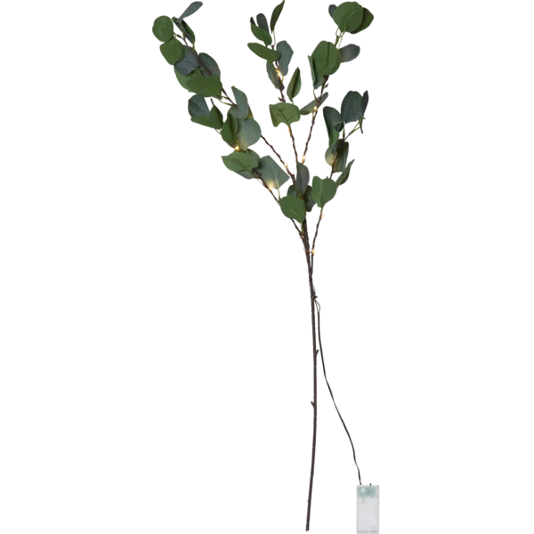 Batteridriven belysning kvist Eucalyptus 90 cm