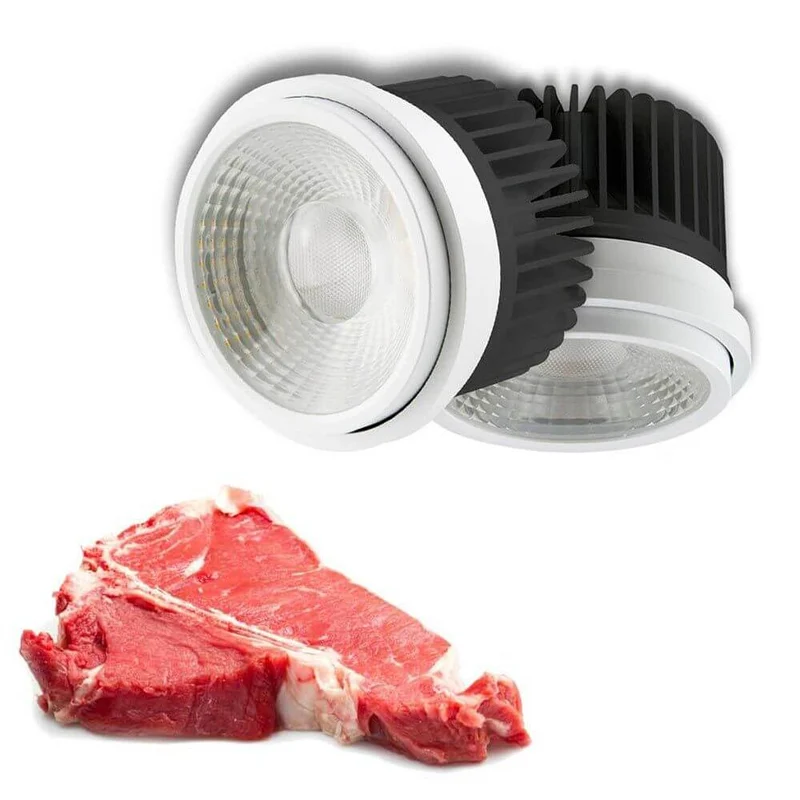 LED für Fleischwaren fokussierbar 35°-50° 1900K 948lm 30W