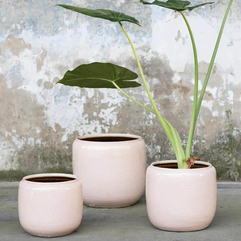Flower Pot Pink