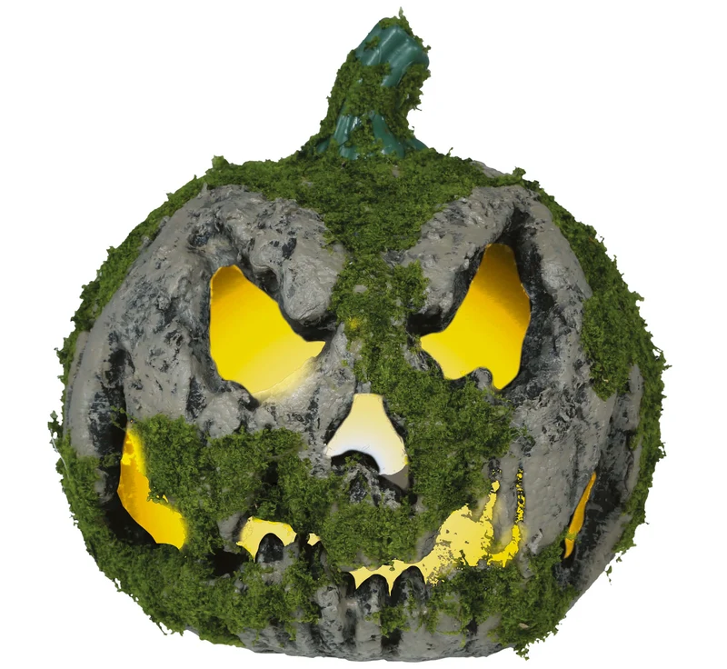 Pumpa med mossa, 20 cm