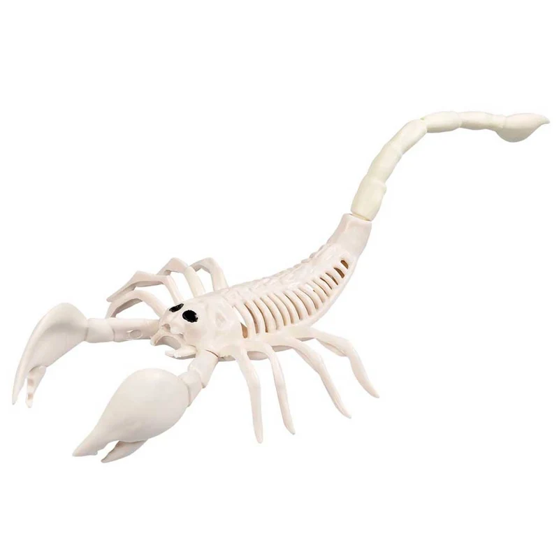 Prop, skelett scorpion 31 cm