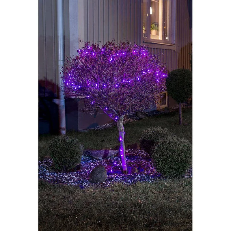 LED Globelichterkette runde Dioden mit rot/blau Farbwechsel 40 farbwechselnde Dioden IP44