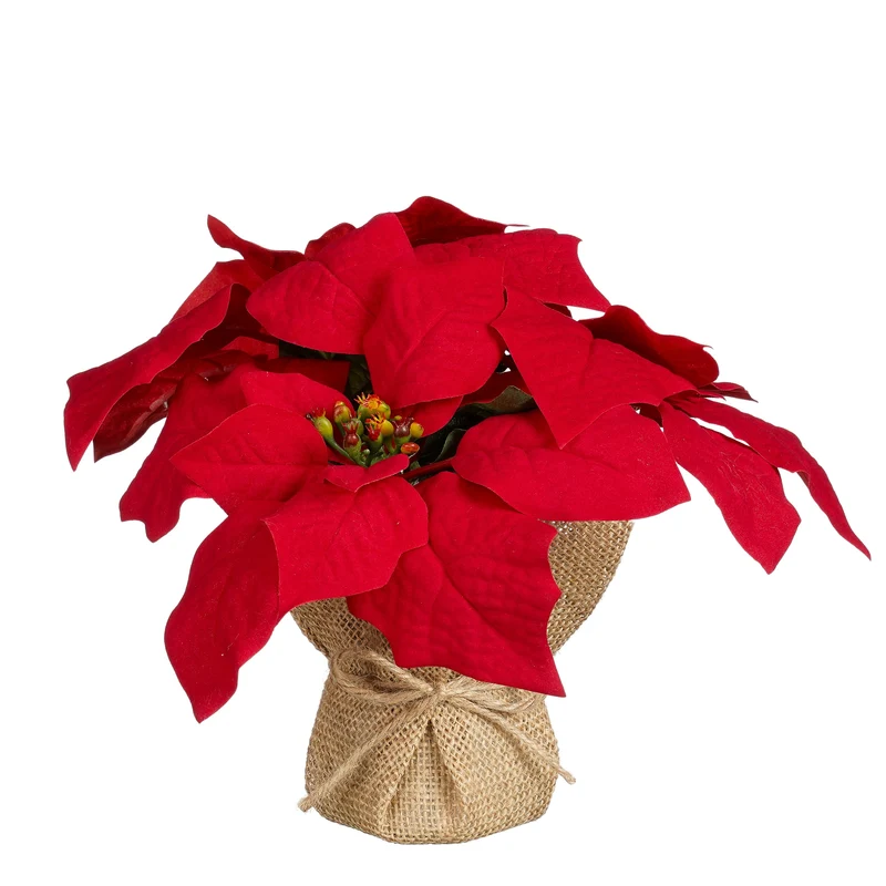 Röd julstjärna med jute