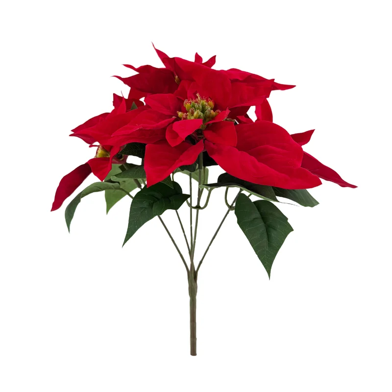 Bukett med röda julstjärnor 33 cm hög