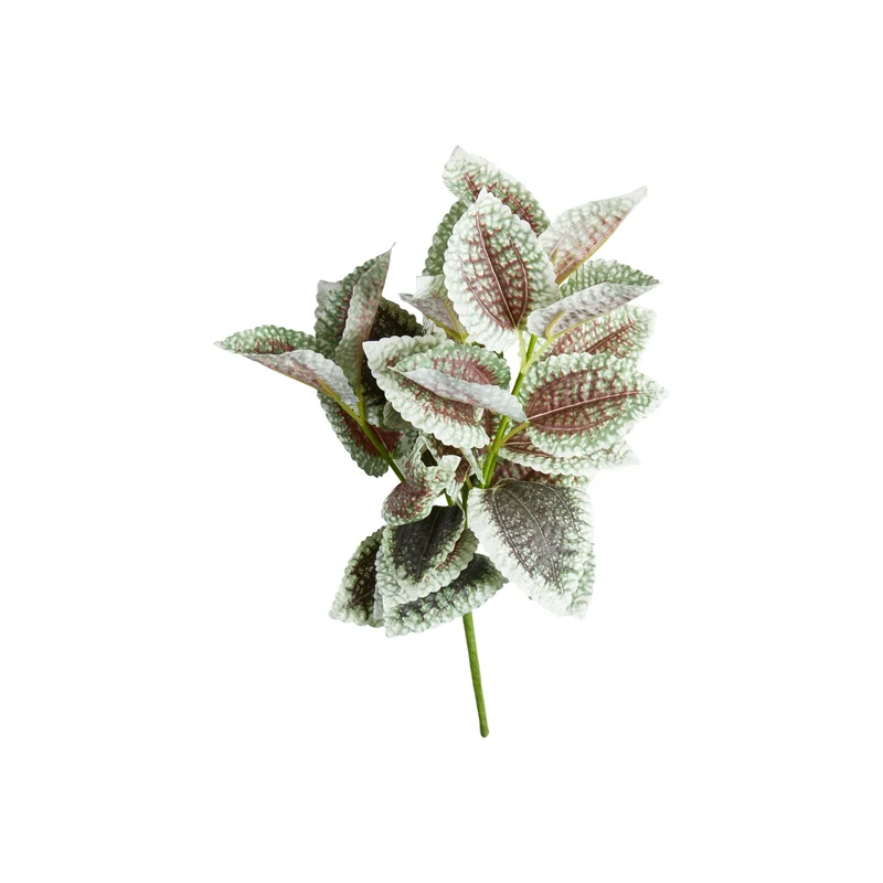 Gren med fläckiga blad 36 cm hög
