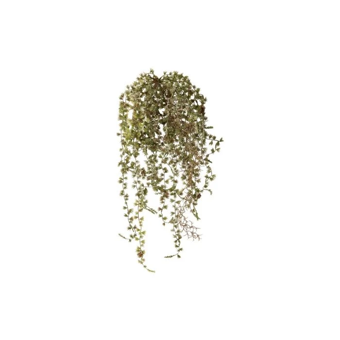 Hänggran med kottar 60 cm lång