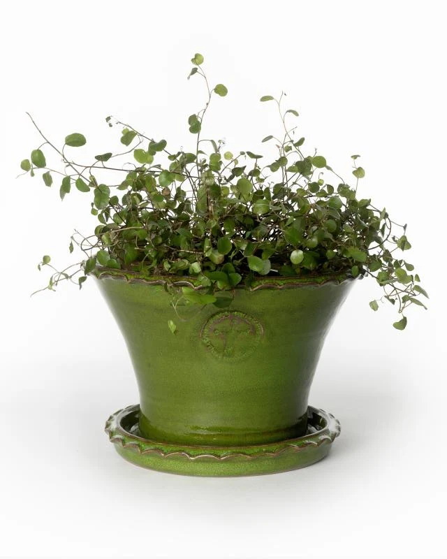Kruka Sturehof - Liljencrantz, 20 cm grön