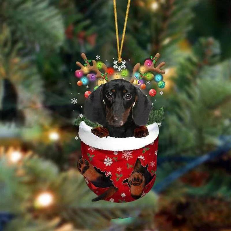 Julgransdekoration Hund i Strumpa - Moderna & Söta