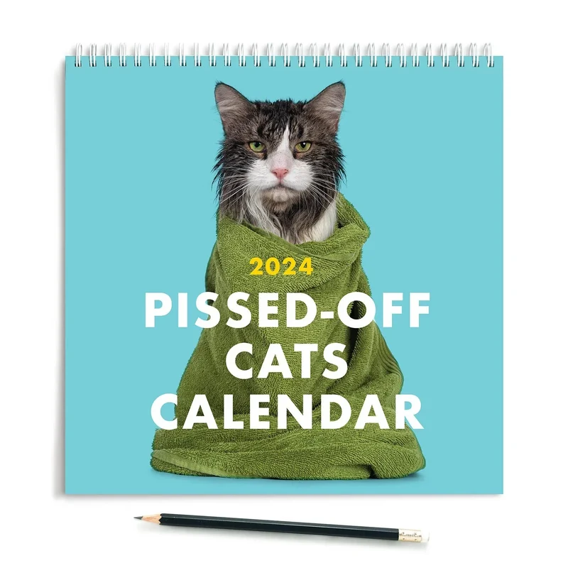 Rolig 2024 Kalender med Ilskna Katter för Kattälskare