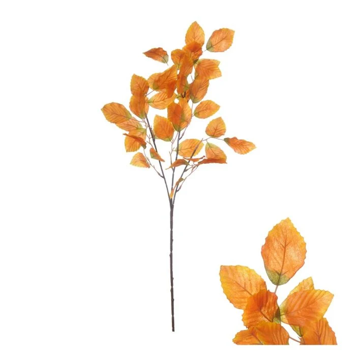 Gren med orange boklöv
