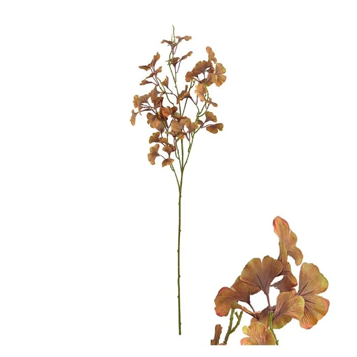 Ginkgokvist brun 105 cm