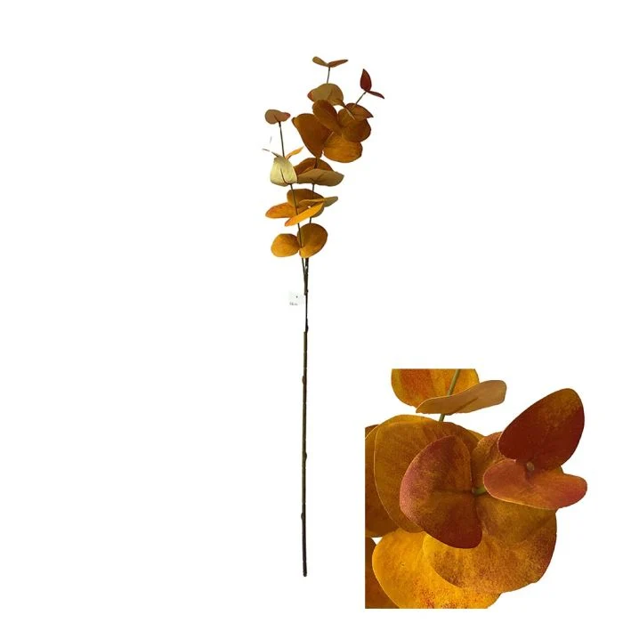 Eukalyptus rost
