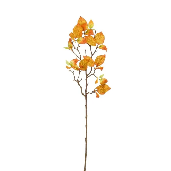 Kornell orange