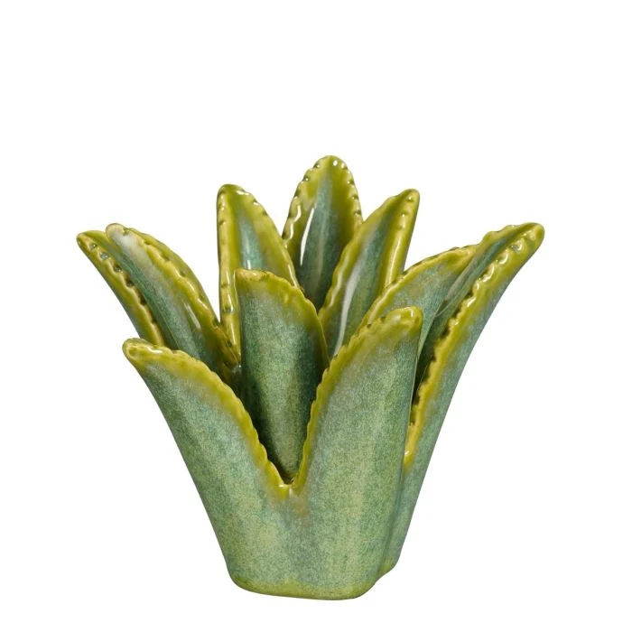 Ljusstake Aloe Vera