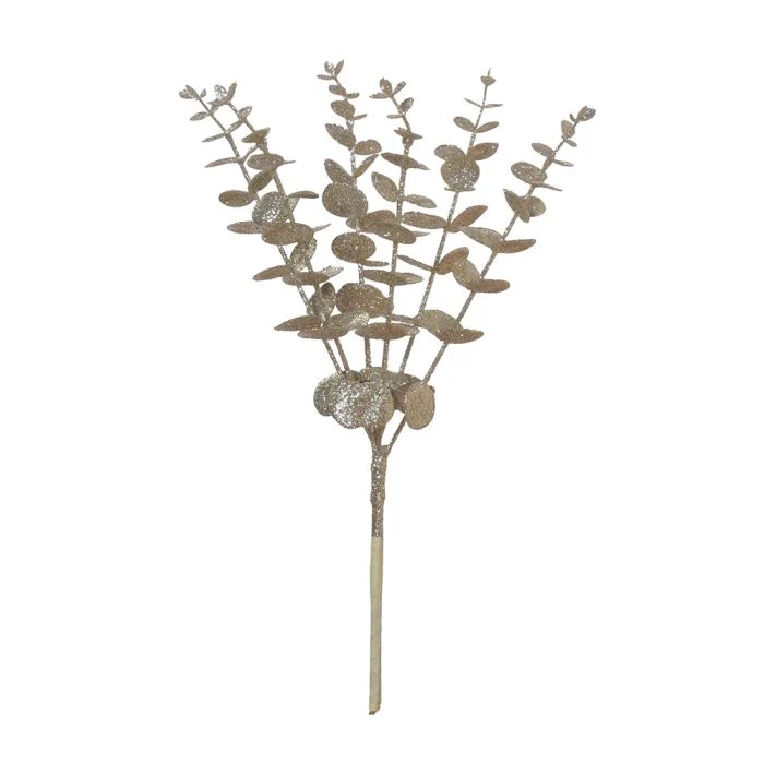 Eukalyptus guldfärgad gren 40 cm hög