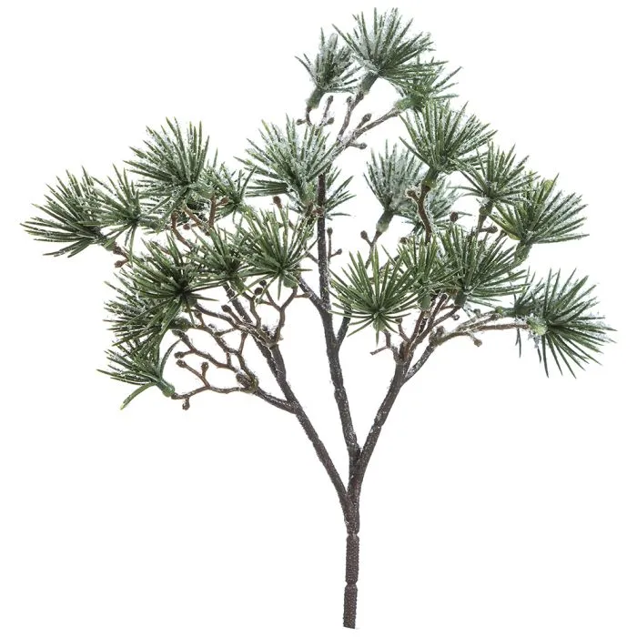 Lärkgren med snö 20 cm hög