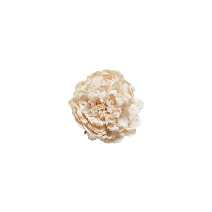 Blomsterhuvud pion ljusrosa