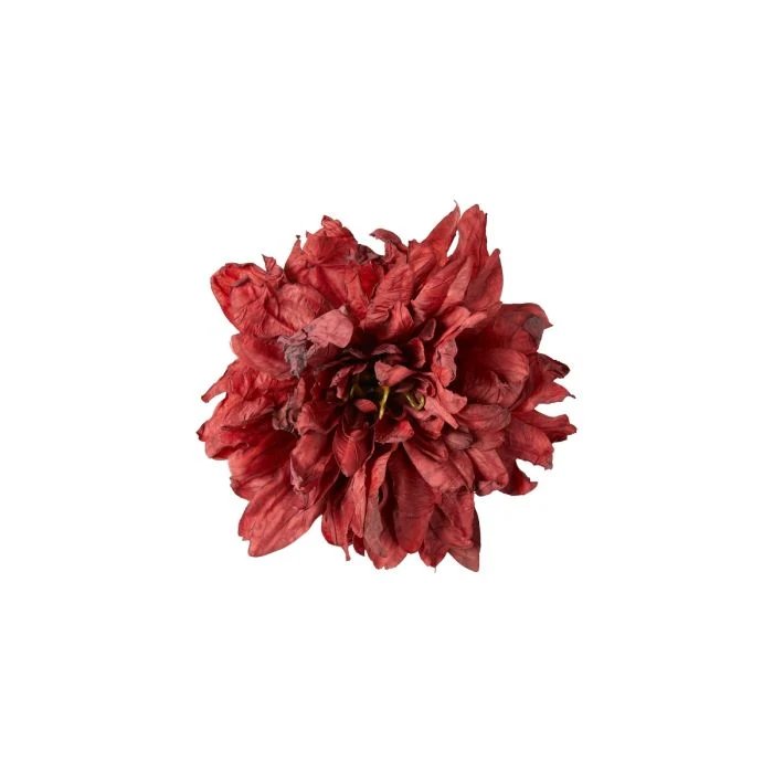 Blomhuvud med klämma dahlia röd