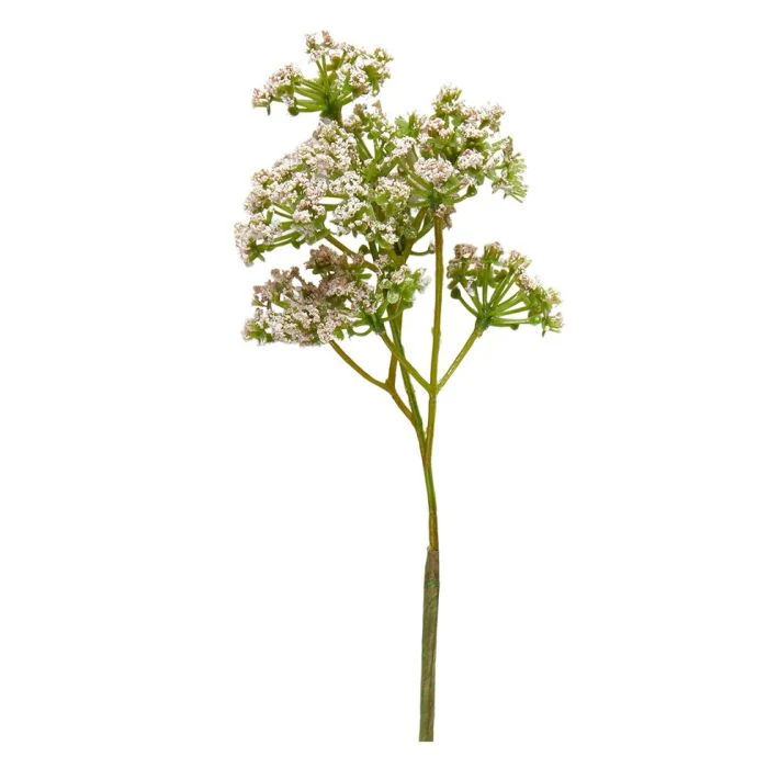 Blomstjälk med små rosa blommor