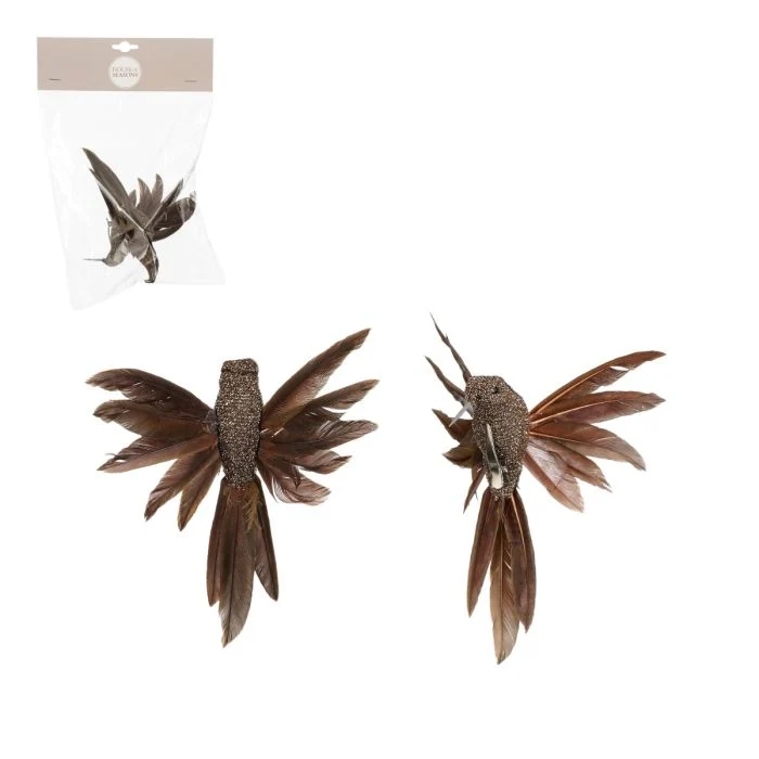 Kolibri med klämma brun 2-pack