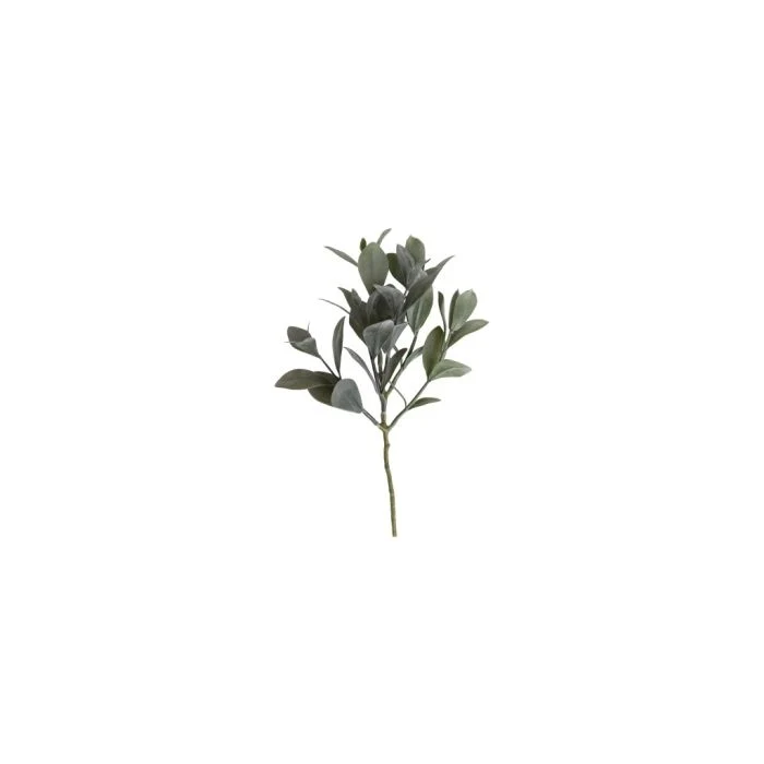 Eukalyptus stjälk 30 cm