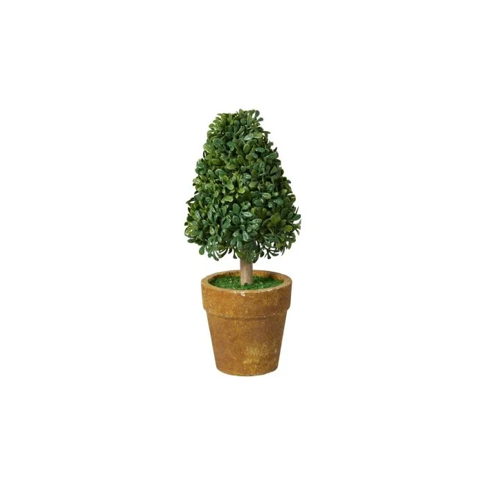 Konformad buxbom i kruka 15 cm hög