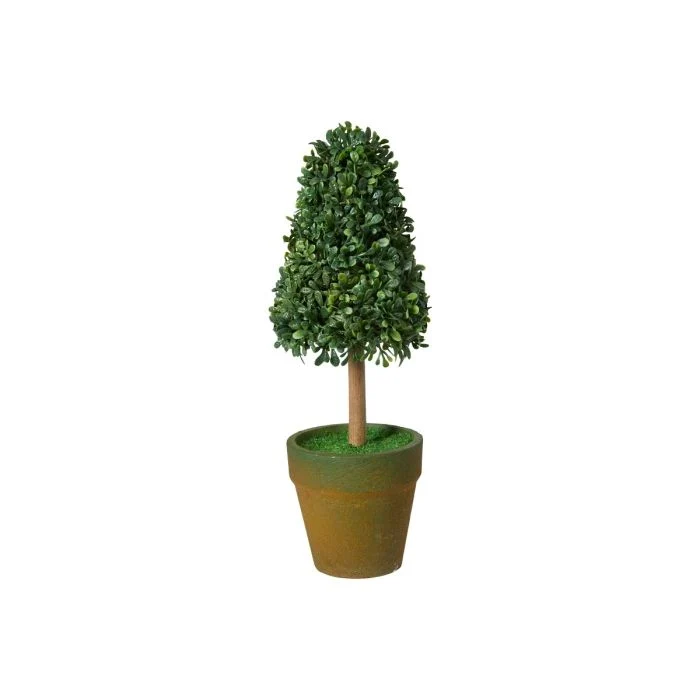 Konformad buxbom i kruka 21 cm hög
