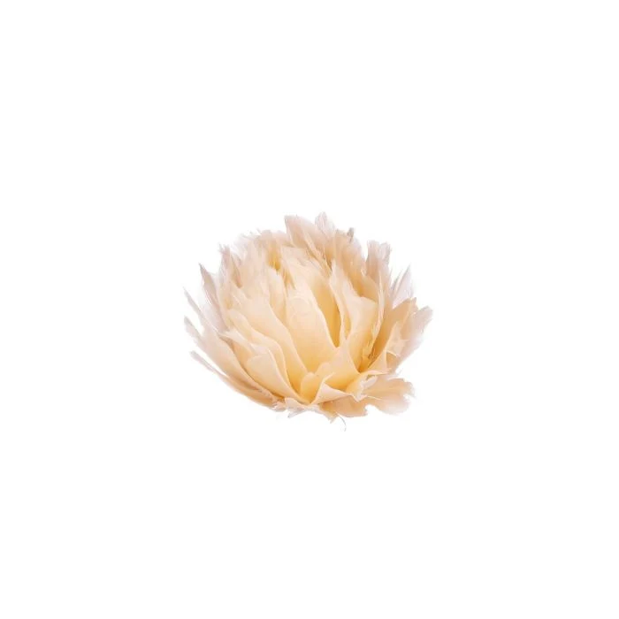 Blomhuvud med klämma benvit