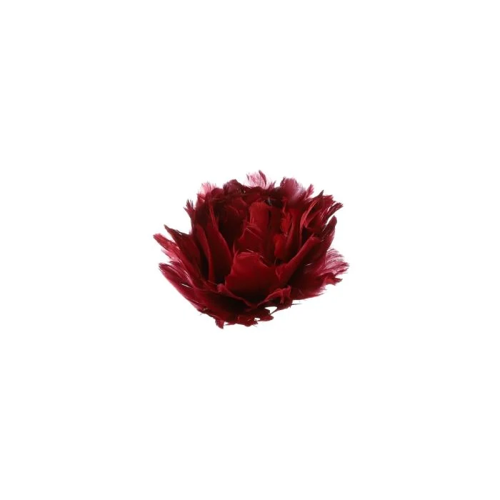 Blomhuvud med klämma mörkröd