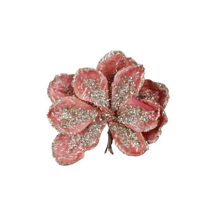 Magnolia med klämma persika