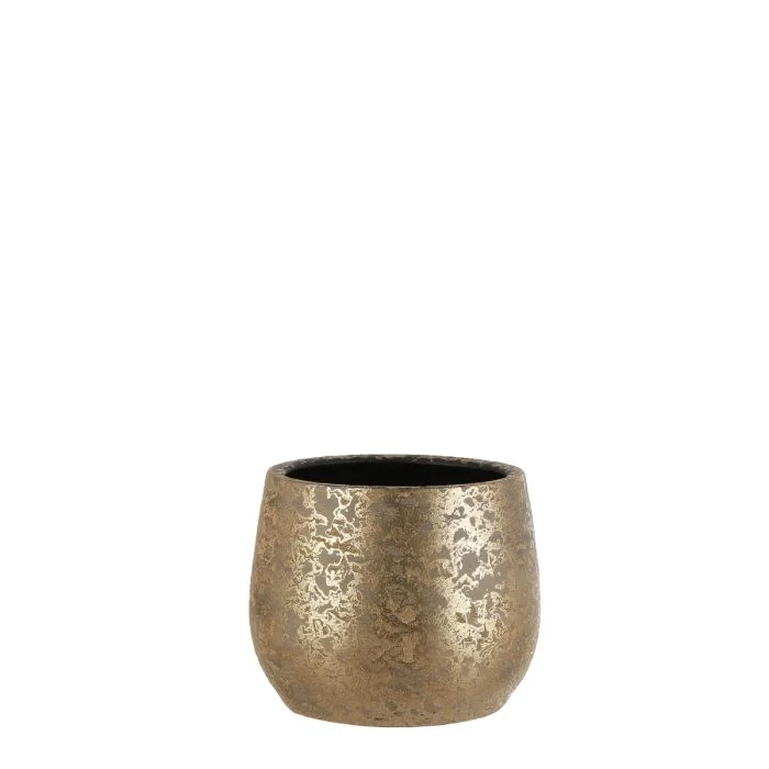 Clemente blomkruka guldfärgad 20 cm hög