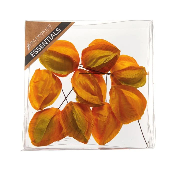 Japanska lyktor orange
