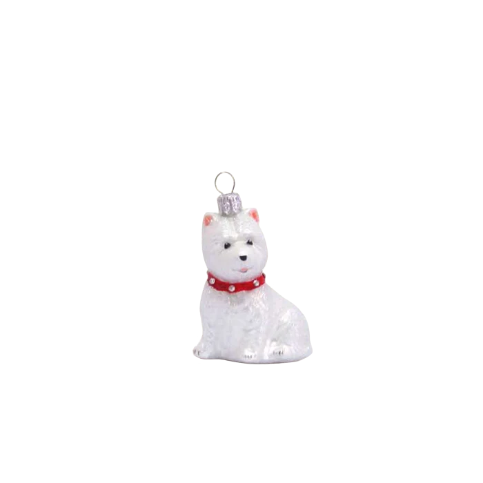 Julkula West highland white terrier