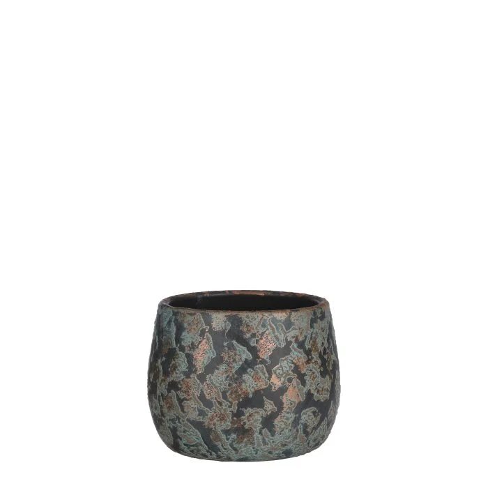 Clemente blomkruka 13 cm hög