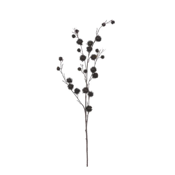 Tistel brun