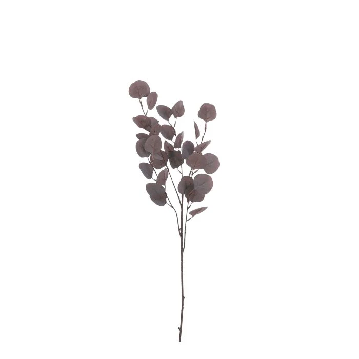 Eucalyptus lila