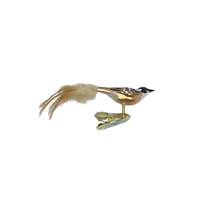 Sparv