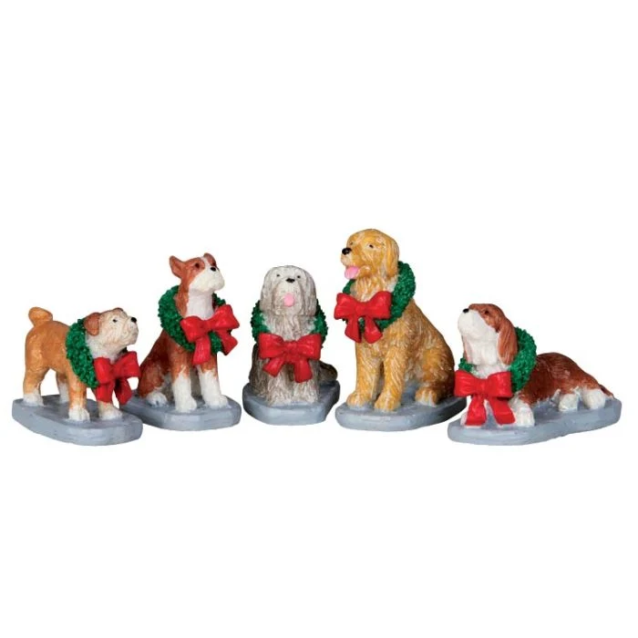 Julhund, set om 5