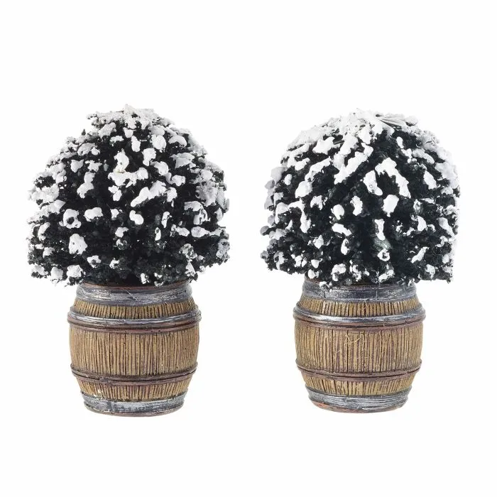 Luville Buxbom i kruka 2-pack