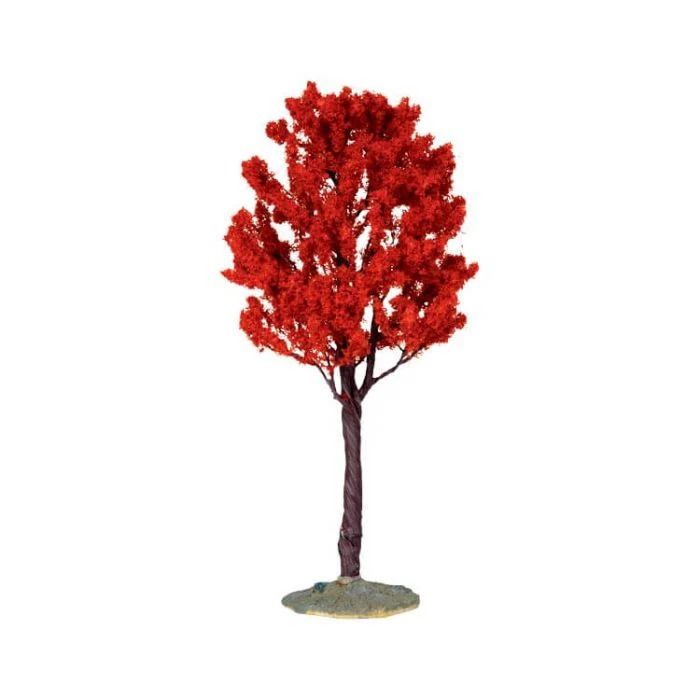 Baldcypress träd stor