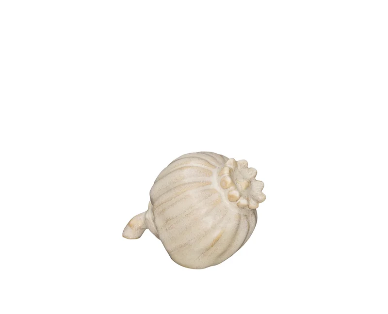 Tiny Frö Sand