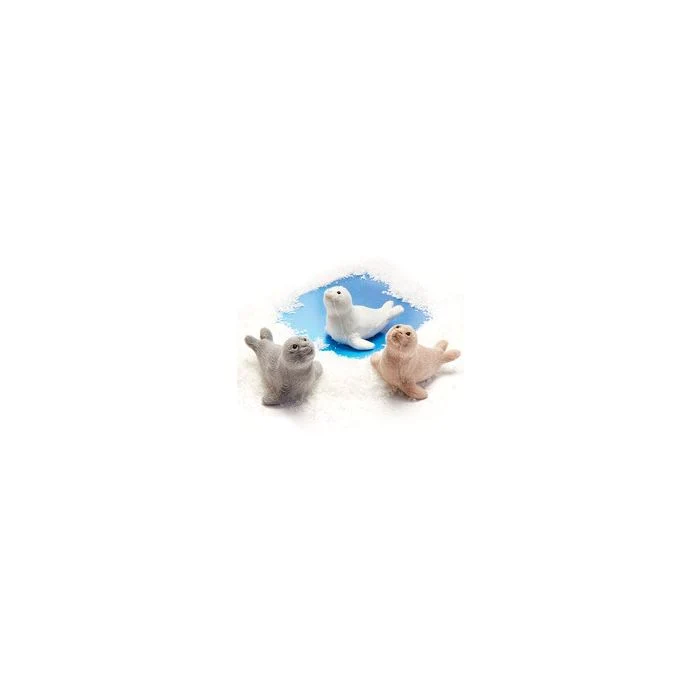 Säl