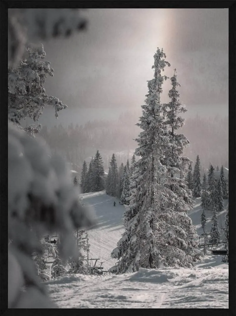 Snötäckt träd Jul affisch