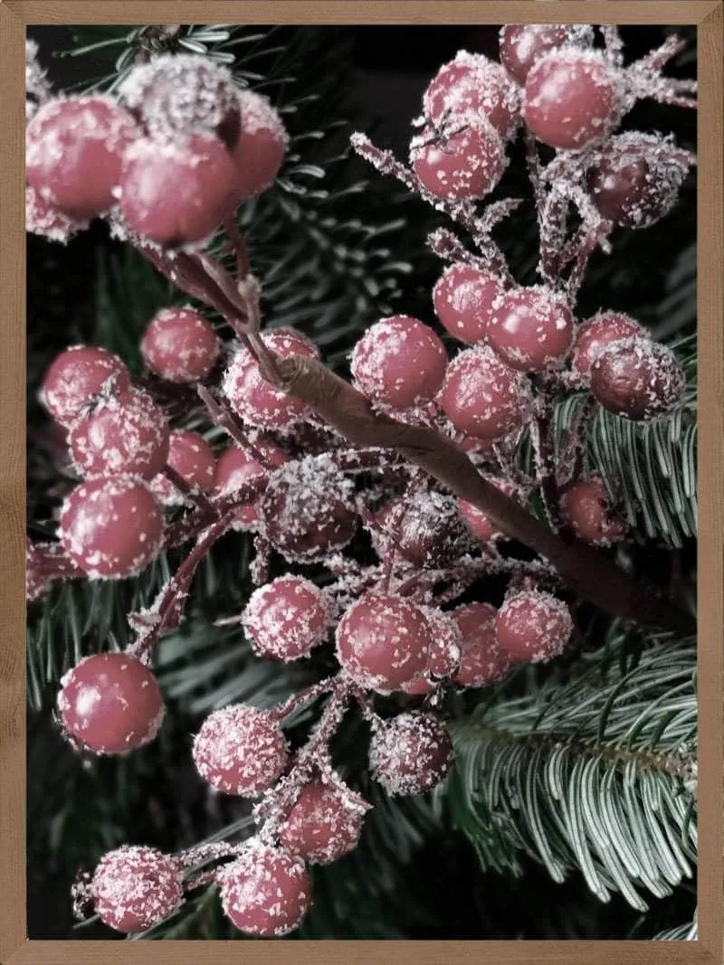 Röda bär Jul affisch