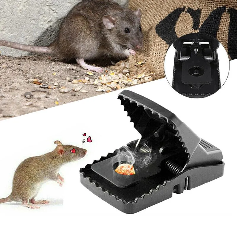 Råttfälla för effektiv skadedjursbekämpning